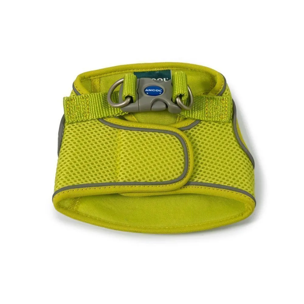 Ancol Viva Lime Green Step-In Harness