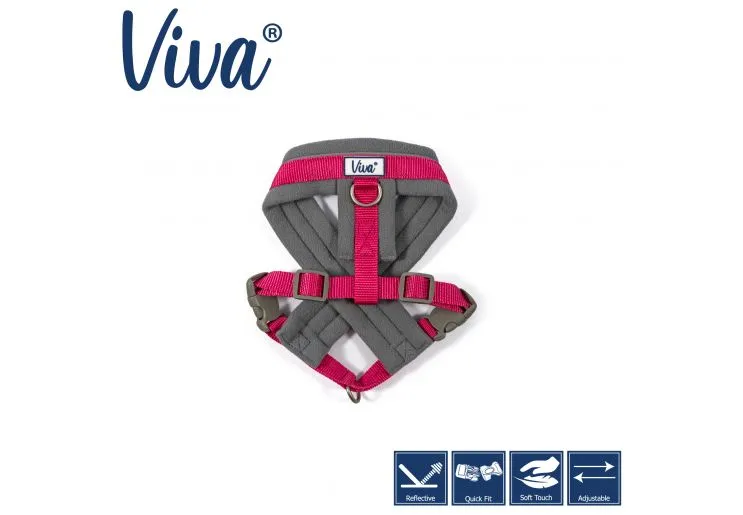 Ancol - Viva Nylon Padded Harness - Purple - Small (36-42cm)