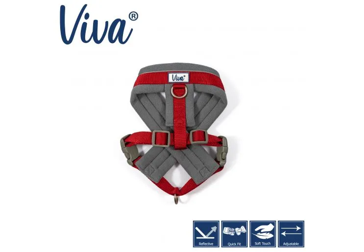 Ancol - Viva Nylon Padded Harness - Purple - Small (36-42cm)