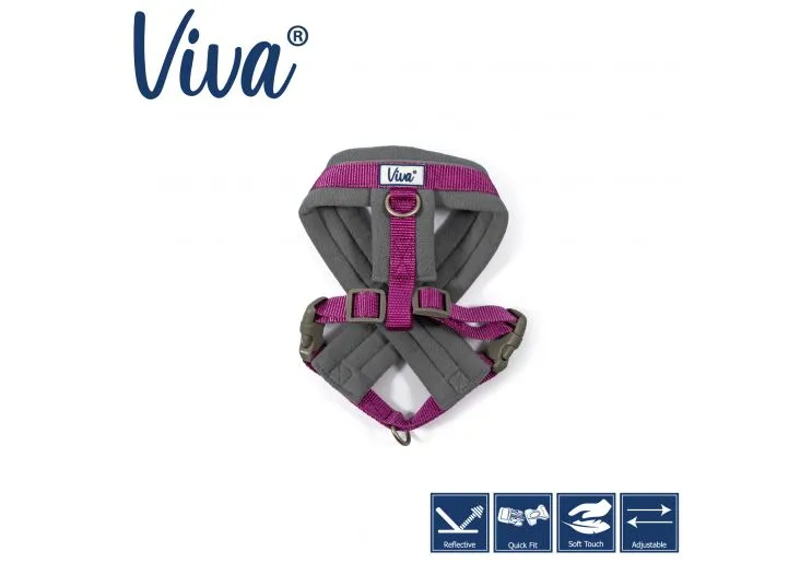 Ancol - Viva Nylon Padded Harness - Purple - Small (36-42cm)