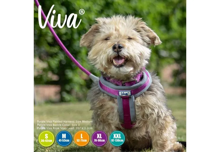 Ancol - Viva Nylon Padded Harness - Purple - Small (36-42cm)