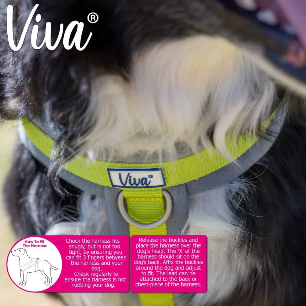 Ancol Viva Padded Dog Harness - Sizes Small to XXL