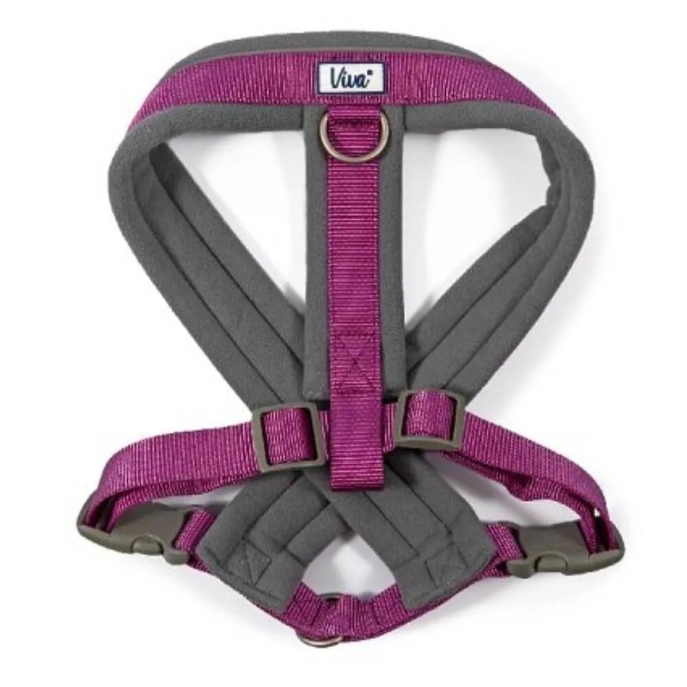 Ancol Viva Padded Dog Harness - Sizes Small to XXL