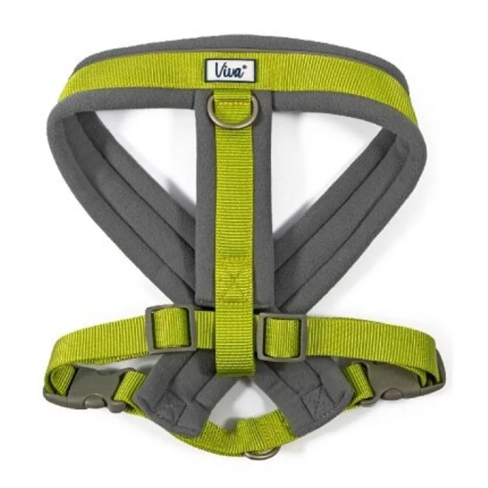 Ancol Viva Padded Dog Harness - Sizes Small to XXL