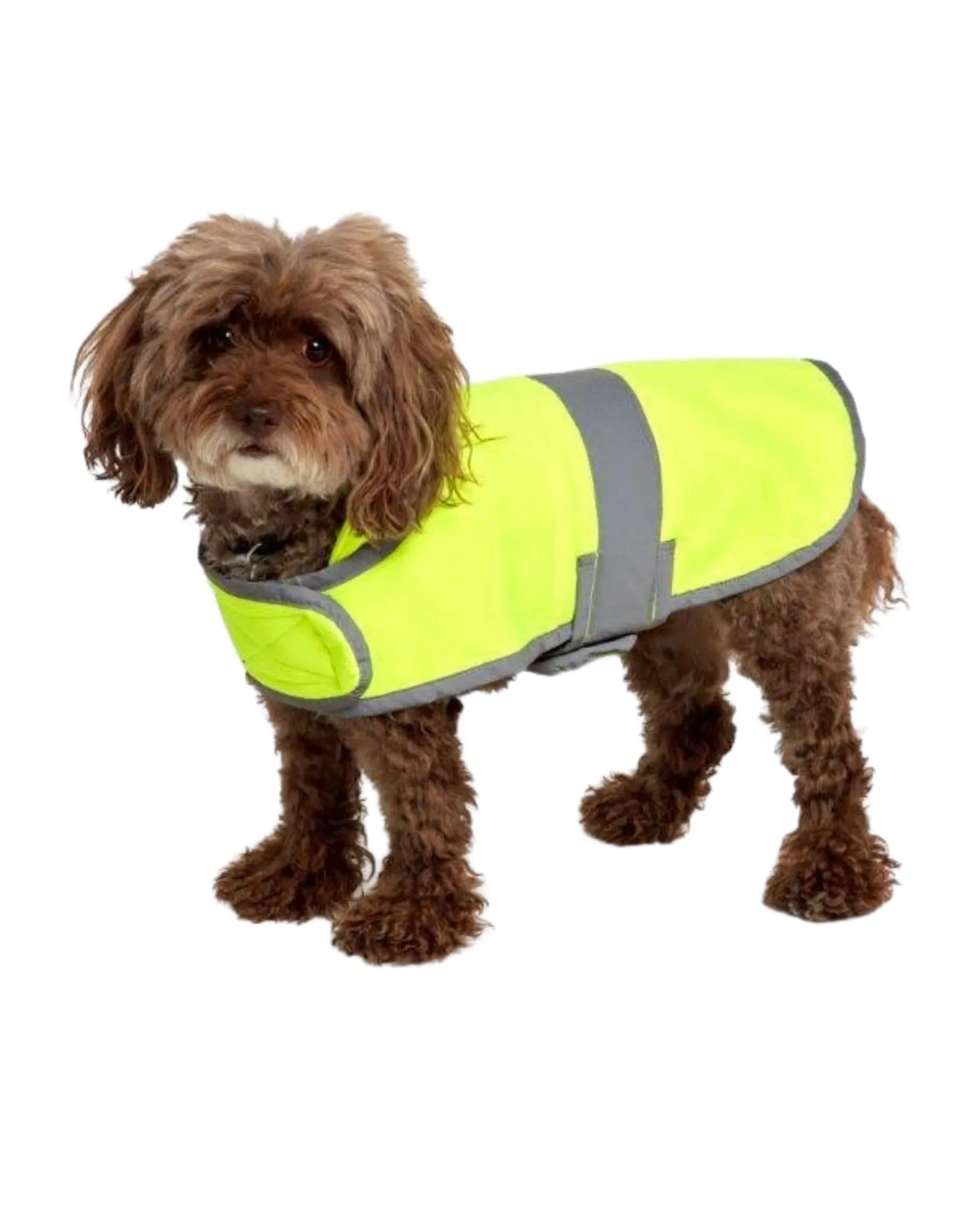 UHV896 HiVis Dog Safety Coat